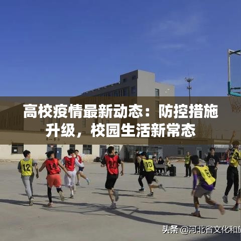 高校疫情最新动态：防控措施升级，校园生活新常态