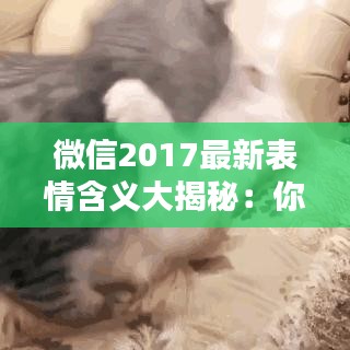 微信2017最新表情含义大揭秘：你的表情包又升级啦！