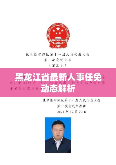 黑龙江省最新人事任免动态解析