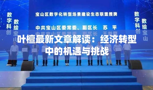 叶檀最新文章解读：经济转型中的机遇与挑战