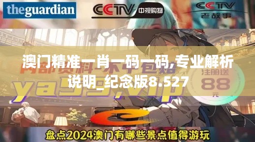 澳门精准一肖一码一码,专业解析说明_纪念版8.527