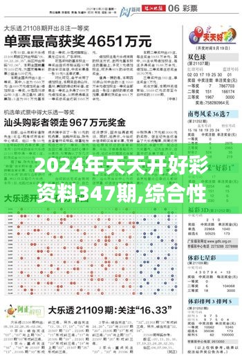 2024年天天开好彩资料347期,综合性计划评估_XE版10.843