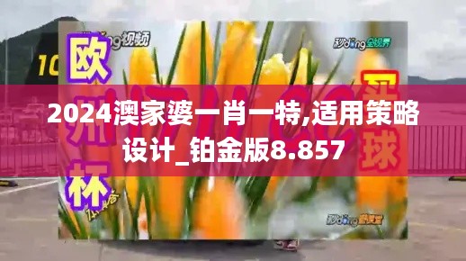 2024澳家婆一肖一特,适用策略设计_铂金版8.857