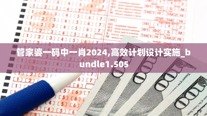 管家婆一码中一肖2024,高效计划设计实施_bundle1.505