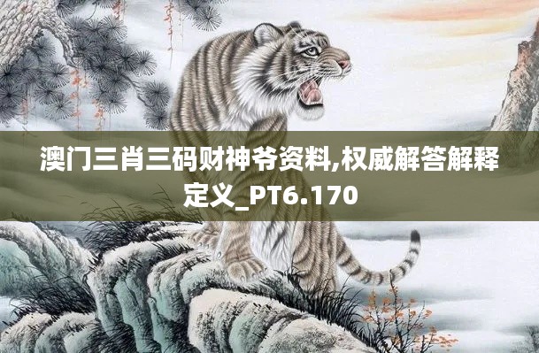 澳门三肖三码财神爷资料,权威解答解释定义_PT6.170