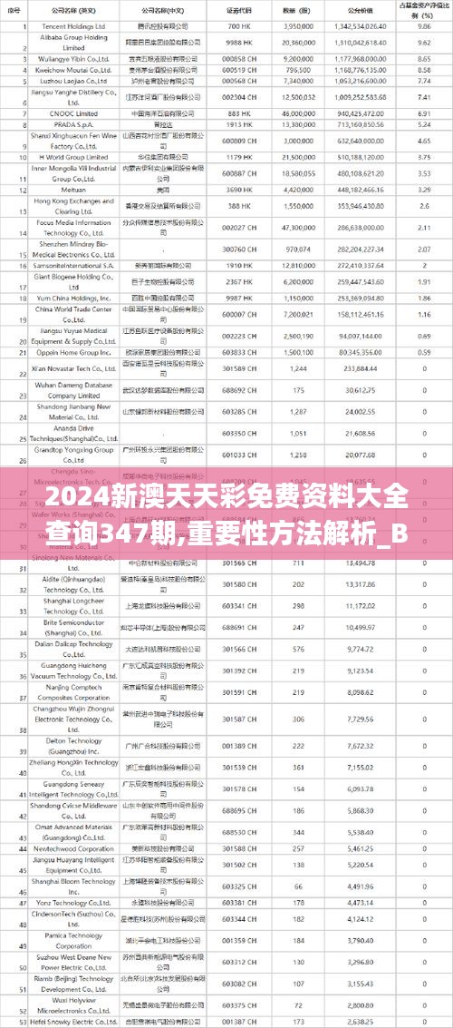 2024新澳天天彩免费资料大全查询347期,重要性方法解析_BT4.658