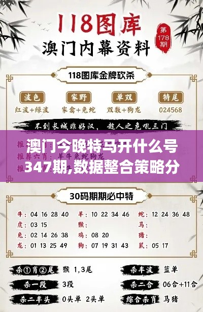 澳门今晚特马开什么号347期,数据整合策略分析_限量款10.376