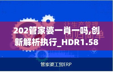 202管家婆一肖一吗,创新解析执行_HDR1.587