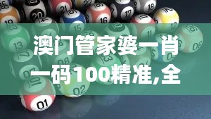 澳门管家婆一肖一码100精准,全面实施策略数据_FHD版10.473