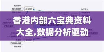 香港内部六宝典资料大全,数据分析驱动解析_Executive2.169