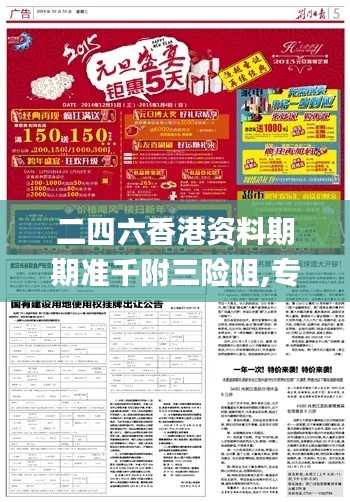 二四六香港资料期期准千附三险阻,专业解答解释定义_至尊版10.265