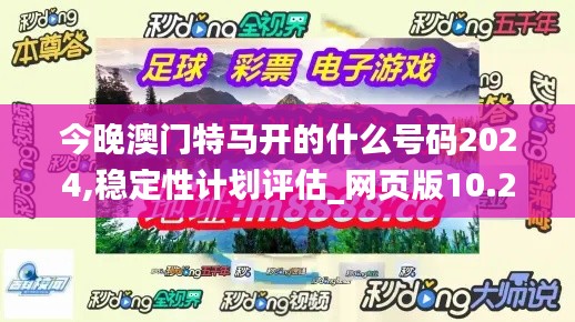 今晚澳门特马开的什么号码2024,稳定性计划评估_网页版10.299