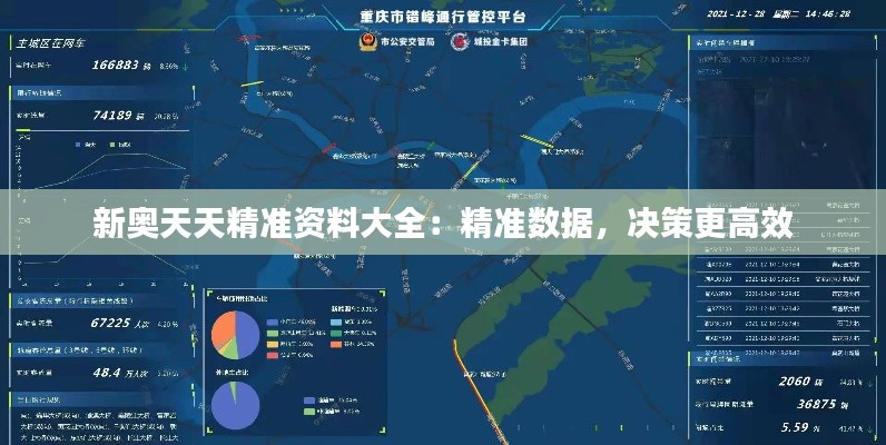 新奥天天精准资料大全：精准数据，决策更高效