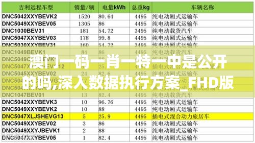 澳门一码一肖一特一中是公开的吗,深入数据执行方案_FHD版7.112