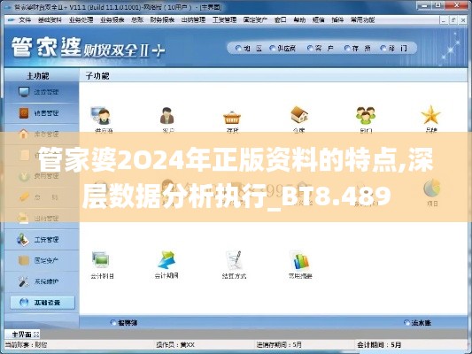 管家婆2O24年正版资料的特点,深层数据分析执行_BT8.489