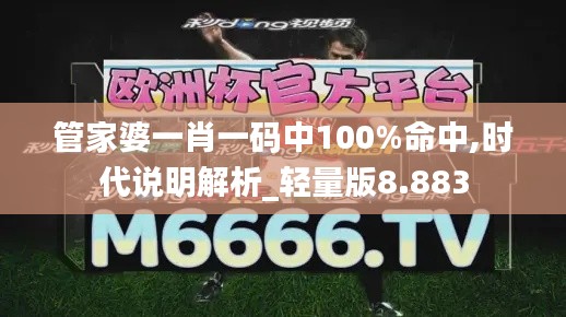 管家婆一肖一码中100%命中,时代说明解析_轻量版8.883