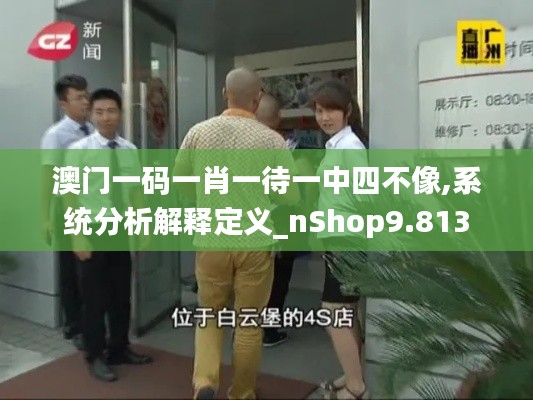 澳门一码一肖一待一中四不像,系统分析解释定义_nShop9.813