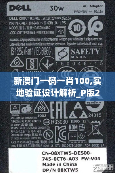 新澳门一码一肖100,实地验证设计解析_P版2.240