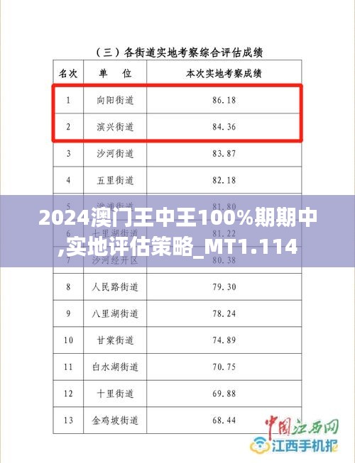 2024澳门王中王100%期期中,实地评估策略_MT1.114