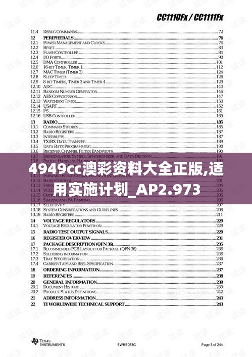 4949cc澳彩资料大全正版,适用实施计划_AP2.973