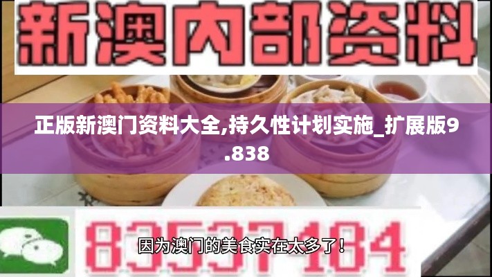 正版新澳门资料大全,持久性计划实施_扩展版9.838