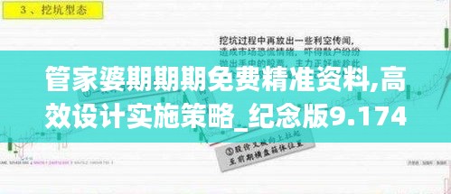 管家婆期期期免费精准资料,高效设计实施策略_纪念版9.174