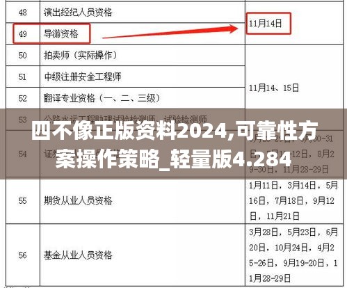 四不像正版资料2024,可靠性方案操作策略_轻量版4.284