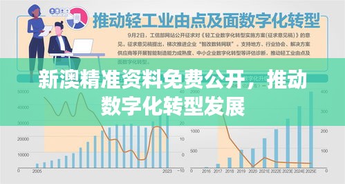 新澳精准资料免费公开，推动数字化转型发展