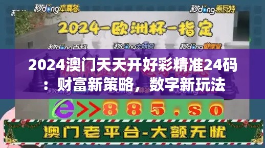 2024澳门天天开好彩精准24码：财富新策略，数字新玩法