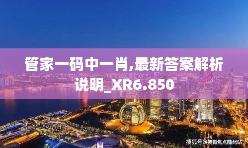 管家一码中一肖,最新答案解析说明_XR6.850