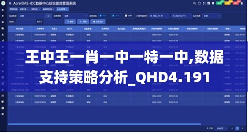 王中王一肖一中一特一中,数据支持策略分析_QHD4.191