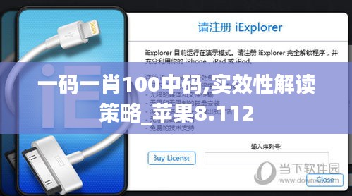 一码一肖100中码,实效性解读策略_苹果8.112