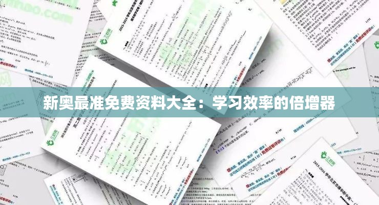 新奥最准免费资料大全：学习效率的倍增器