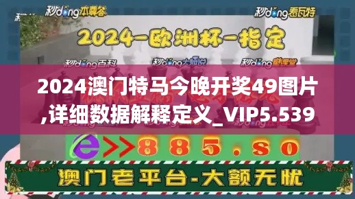 2024澳门特马今晚开奖49图片,详细数据解释定义_VIP5.539