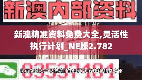 新澳精准资料免费大全,灵活性执行计划_NE版2.782