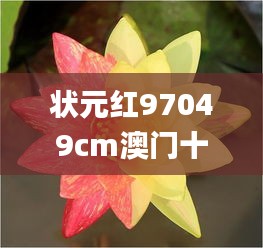 状元红97049cm澳门十三磅,灵活设计操作方案_N版4.893