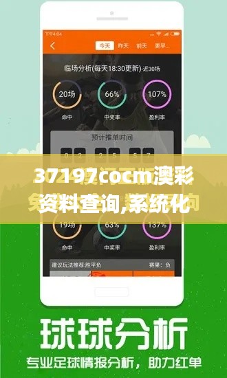 37197cocm澳彩资料查询,系统化推进策略探讨_Lite7.359