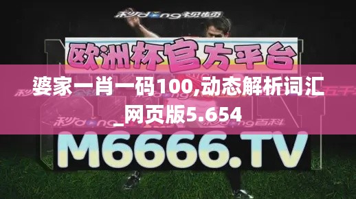 婆家一肖一码100,动态解析词汇_网页版5.654