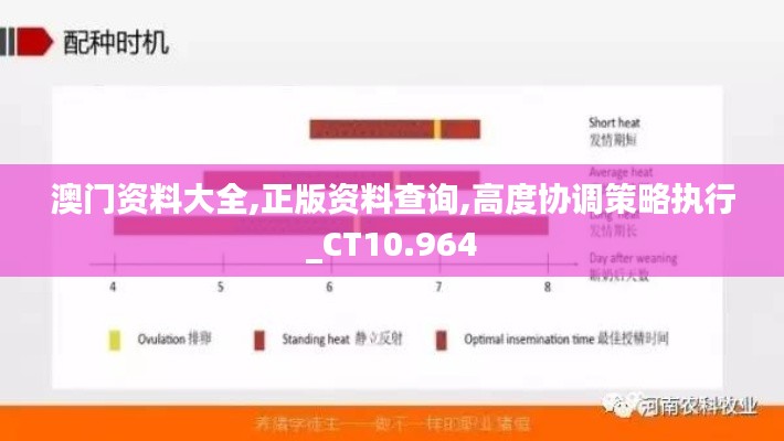 澳门资料大全,正版资料查询,高度协调策略执行_CT10.964