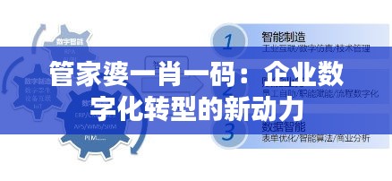 管家婆一肖一码：企业数字化转型的新动力