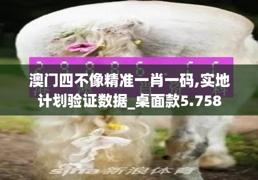 澳门四不像精准一肖一码,实地计划验证数据_桌面款5.758