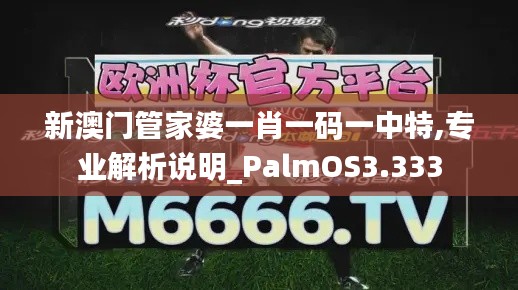 新澳门管家婆一肖一码一中特,专业解析说明_PalmOS3.333