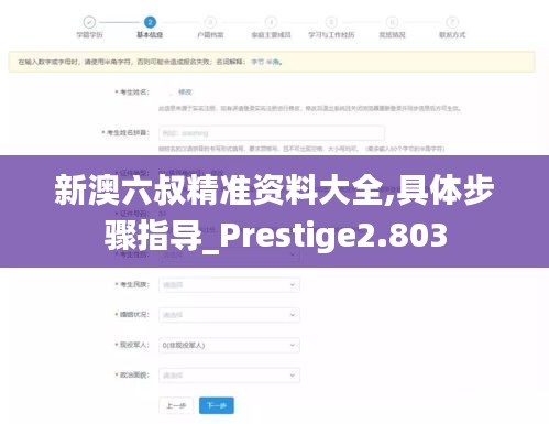 新澳六叔精准资料大全,具体步骤指导_Prestige2.803