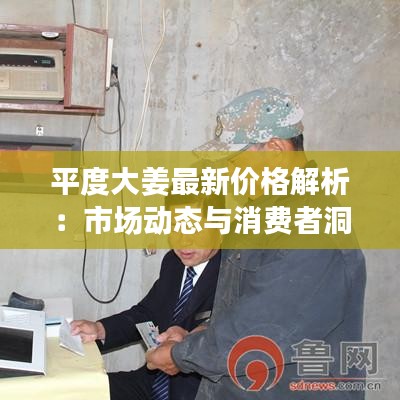 平度大姜最新价格解析：市场动态与消费者洞察