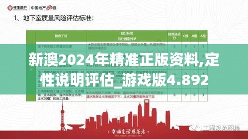 新澳2024年精准正版资料,定性说明评估_游戏版4.892