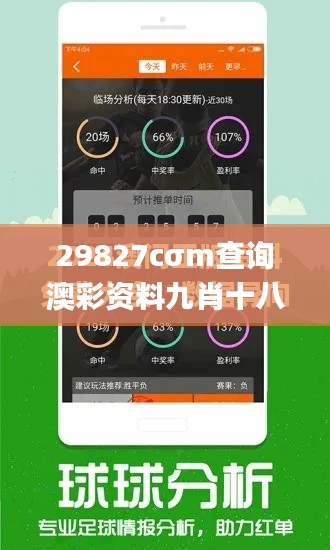 29827cσm查询澳彩资料九肖十八码,深层设计策略数据_Tablet1.224