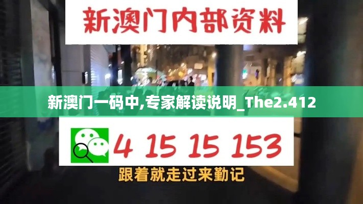 新澳门一码中,专家解读说明_The2.412