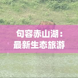 句容赤山湖：最新生态旅游胜地探秘