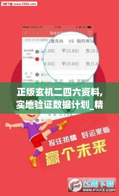 正版玄机二四六资料,实地验证数据计划_精简版5.879