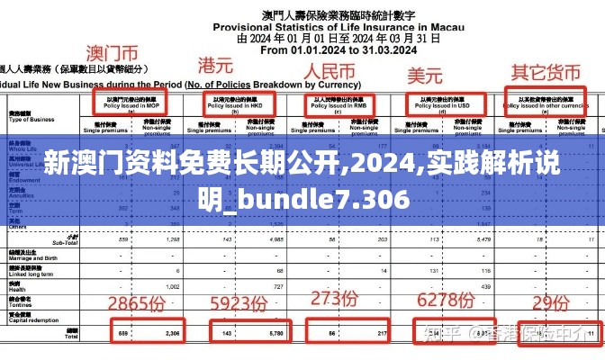 新澳门资料免费长期公开,2024,实践解析说明_bundle7.306